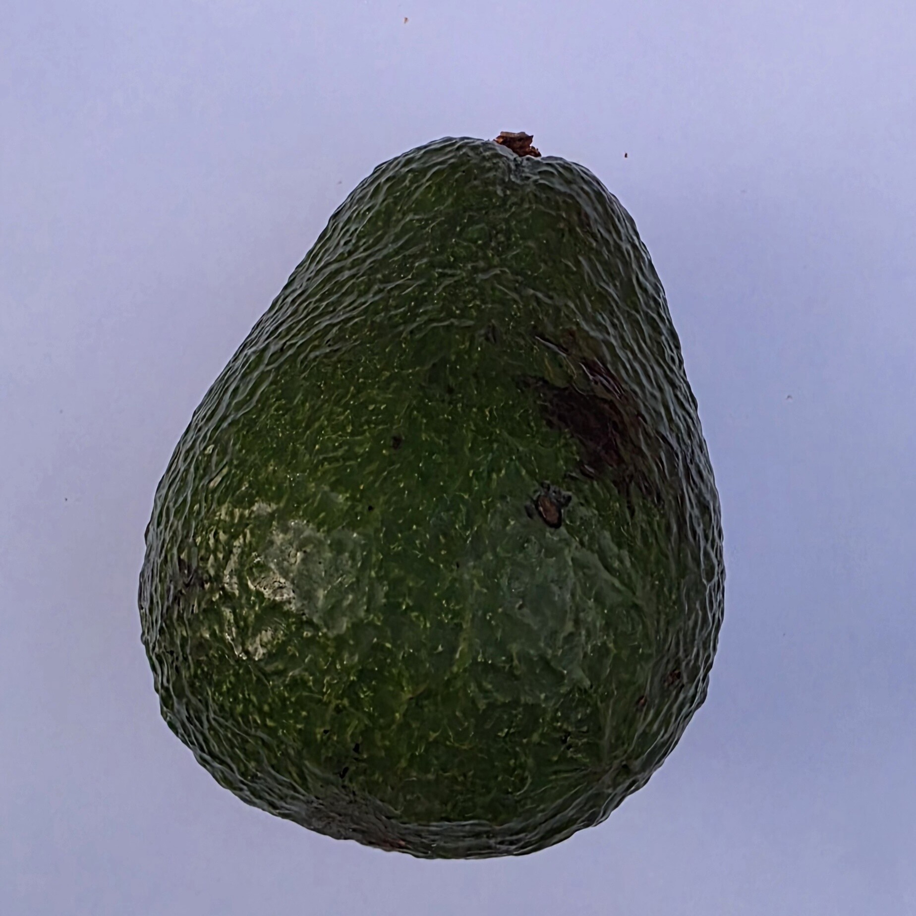 Delightfully Fresh Organics Certified Organic Avocado