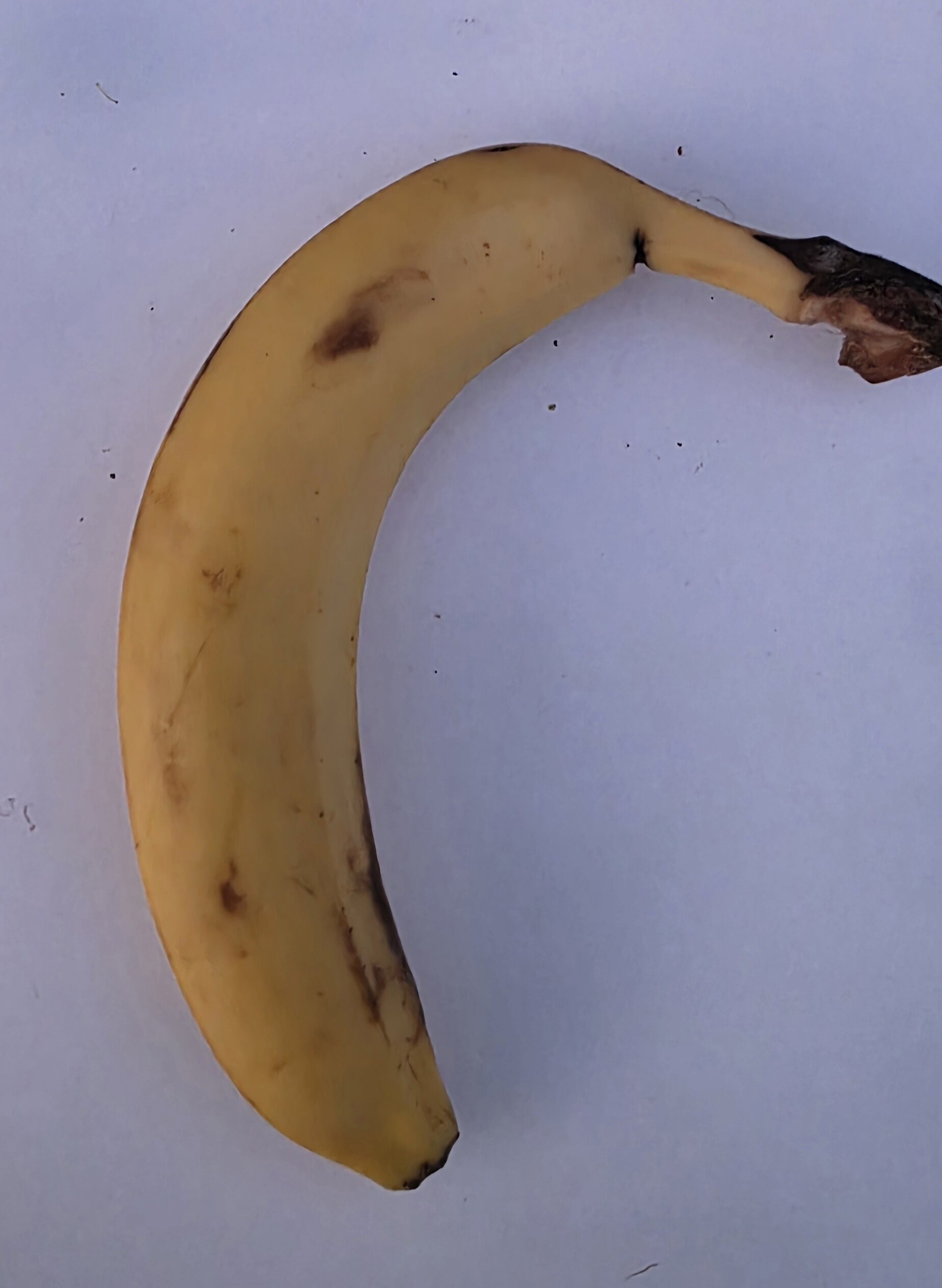 Delightfully Fresh Organics Certified Organic Banana - Smoothie Grade