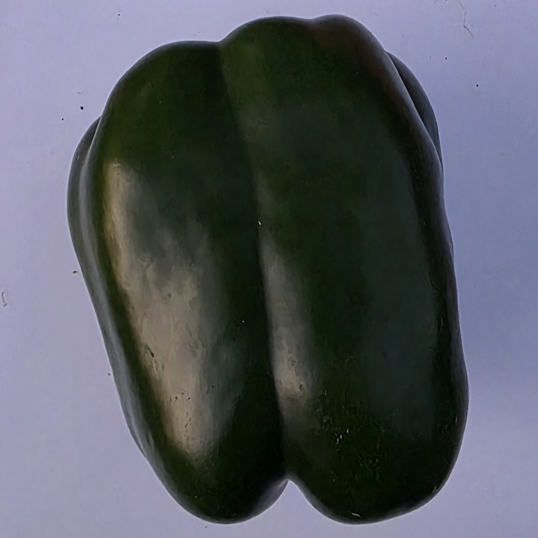 Delightfully Fresh Organics Certified Organic Capsicum - Green