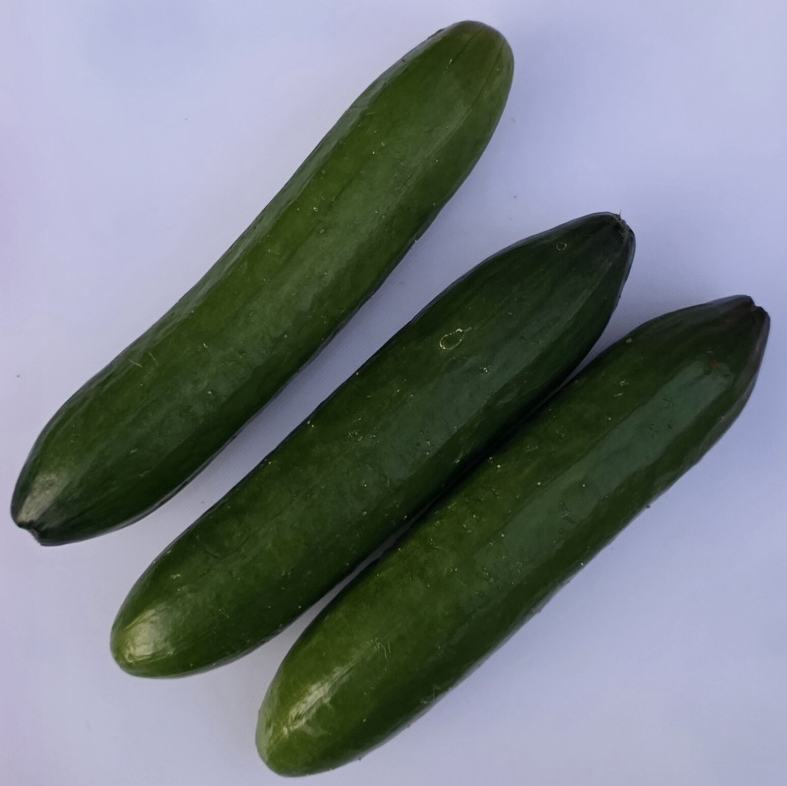 Delightfully Fresh Organics Certified Organic Cucumber - Lebanese