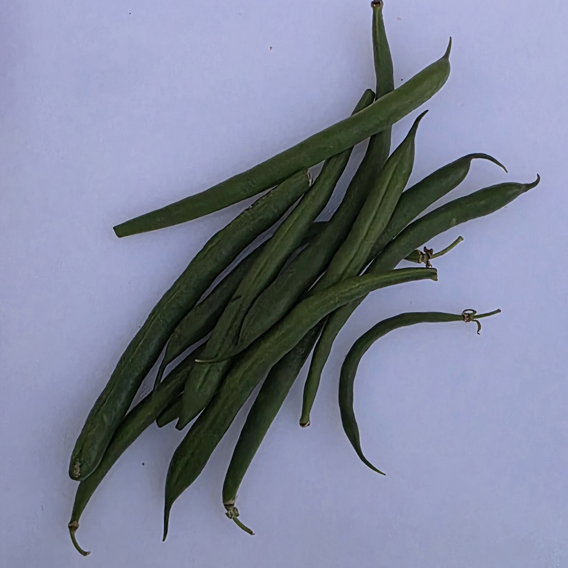 Delightfully Fresh Organics Certified Organic Green Beans 400g