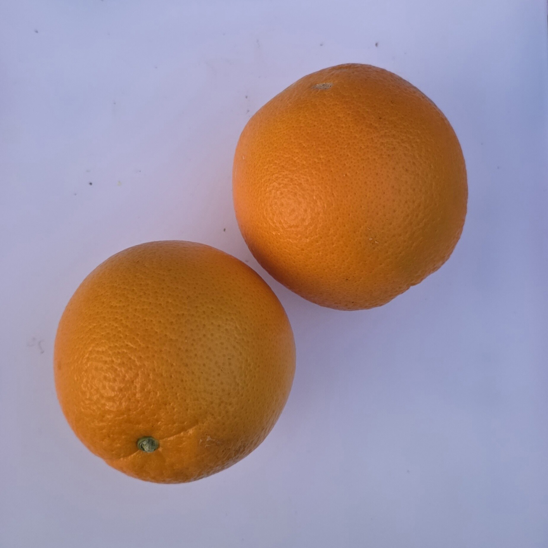 Delightfully Fresh Organics Certified Organic Oranges - Navel 1.5kg