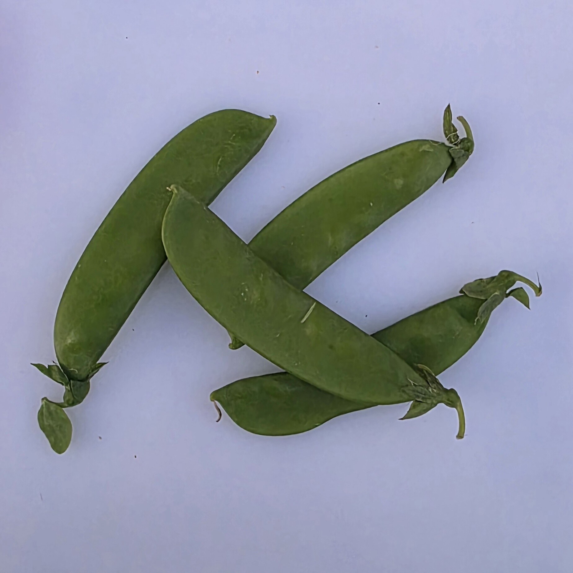 Delightfully Fresh Organics Certified Organic Snow Peas 200g