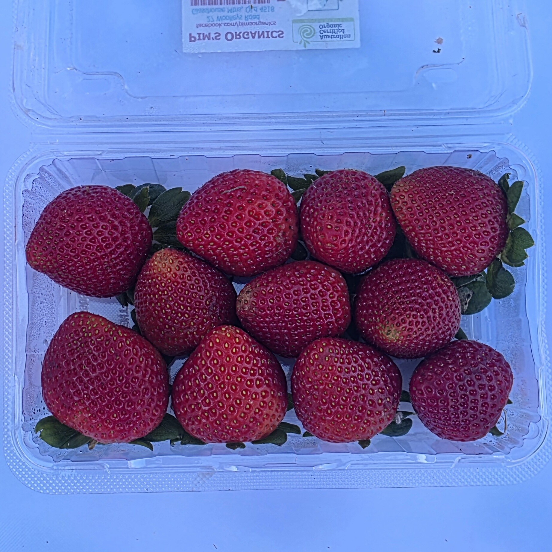 Delightfully Fresh Organics Certified Organic Strawberries (Punnet) 250g